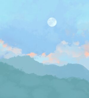 見習いちゃん　耳下腺腫瘍の手術